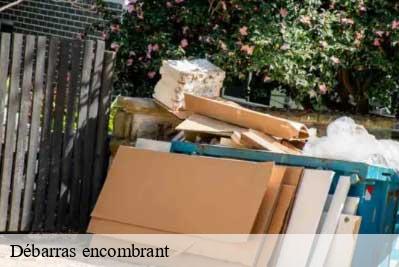 Débarras encombrant Haut-Rhin